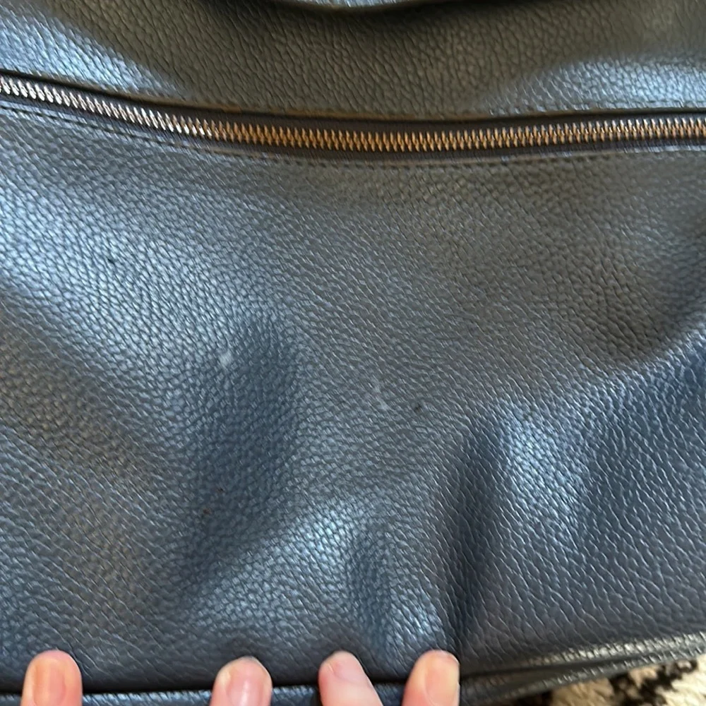 Freshly picked diaper bag/backpack FP
